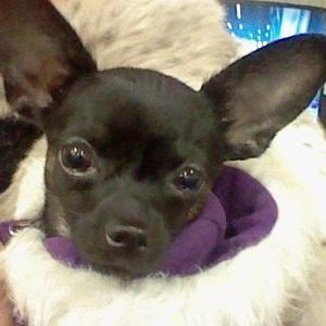 Meet your Posher, Kathy